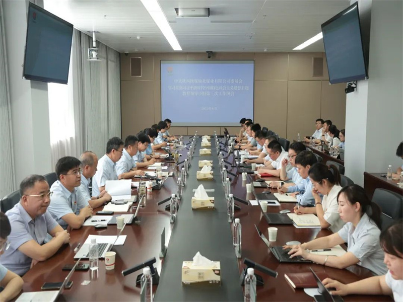 公司召開學(xué)習(xí)貫徹習(xí)近平新時代中國特色社會主義思想主題教育第三次工作例會.jpg