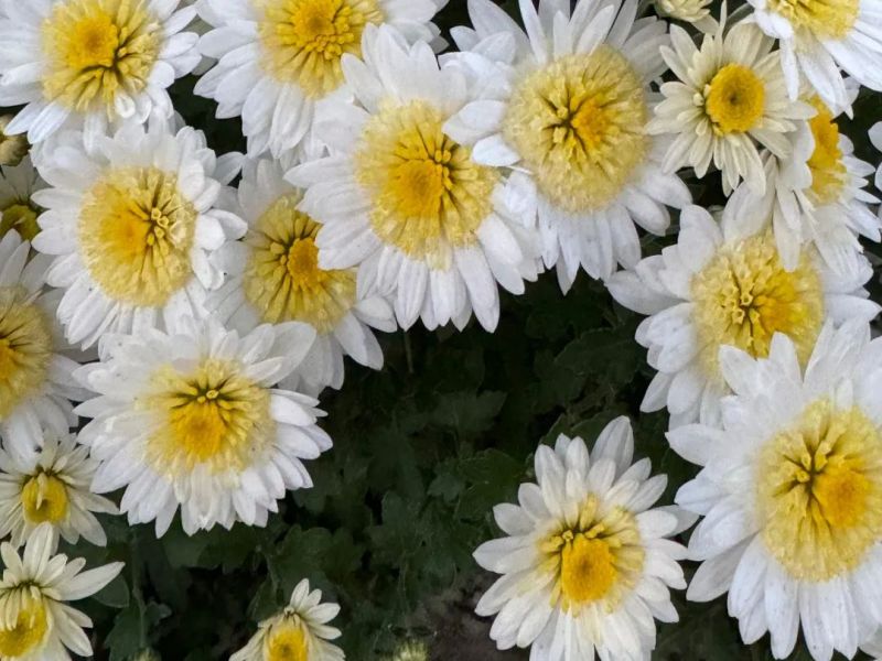 081712537624319002.jpg 640 (3).jpg