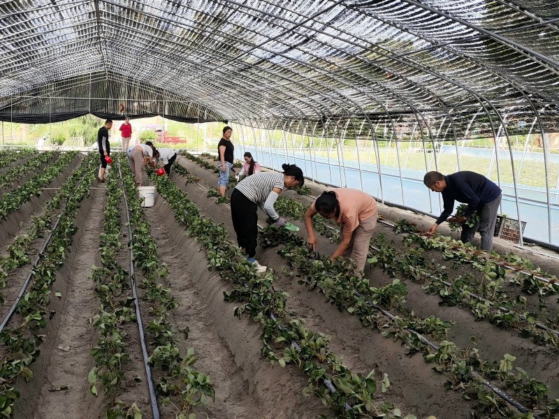 121726122941899898.jpg 8c423b40685c62793df22d74f7c44b2(1).jpg