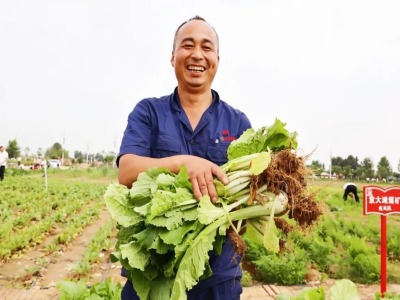 191752885051560161.jpg 3.jpg