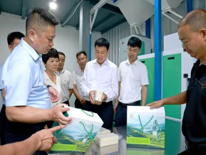 261753499478393777.jpg 1.jpg