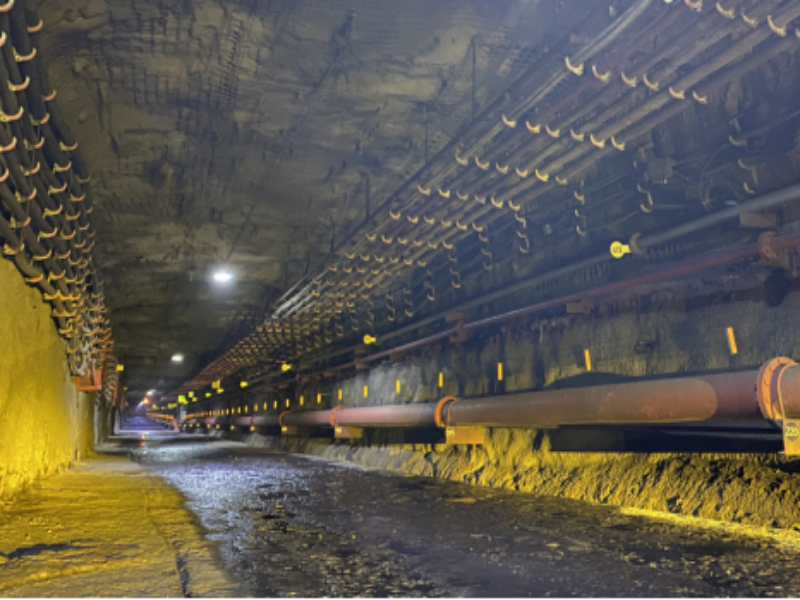 081757321125560885.png 1.png